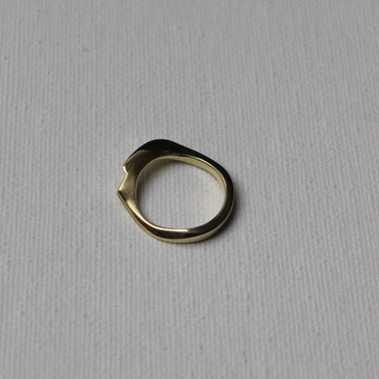 Gold ring on a gray background